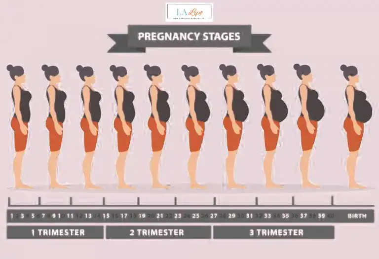 First Trimester (Weeks 1–12): Early Changes You Might Not Notice West Drayton